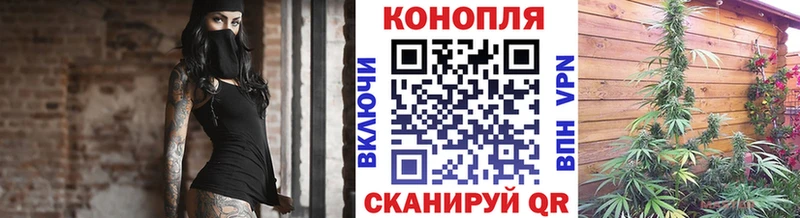 продажа наркотиков  Новокубанск  Канабис VHQ 